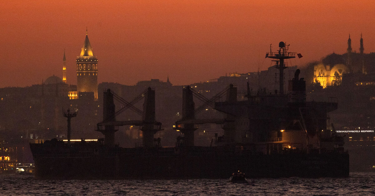 Ukraine's Cargo Ship Defies Russian Blockade, Reaches Turkey
