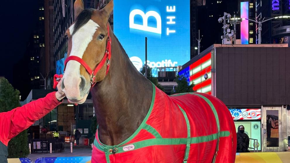 Featured image for "Budweiser Unveils Iconic Clydesdales in Super Bowl 58 Commercial Preview"