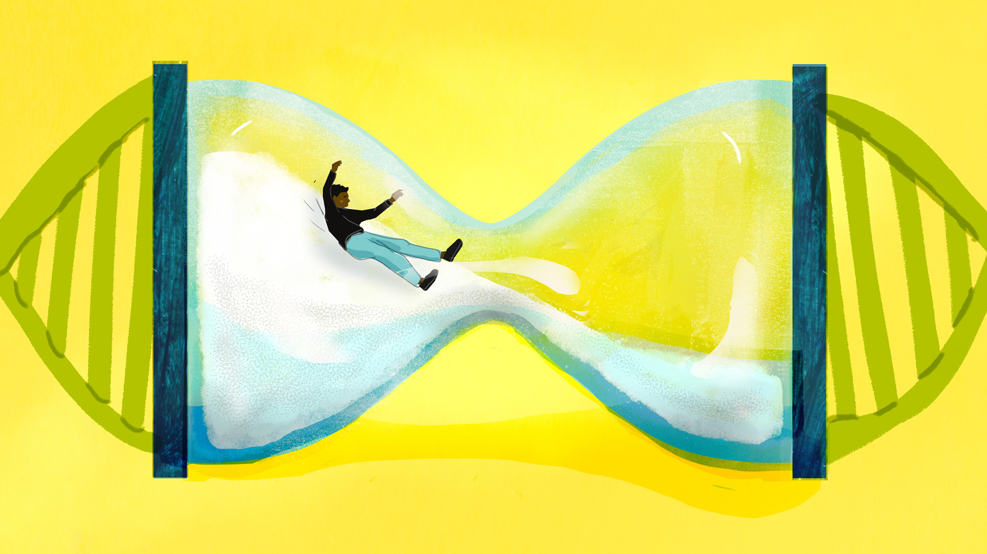 "The Truth About Biological Age Tests: Accuracy, Interpretation, and Business Boom"