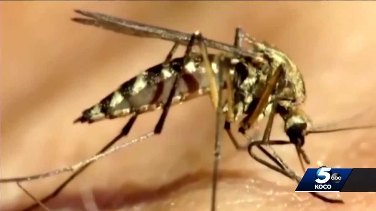 West Nile Virus Detected in Oklahoma County Mosquitoes
