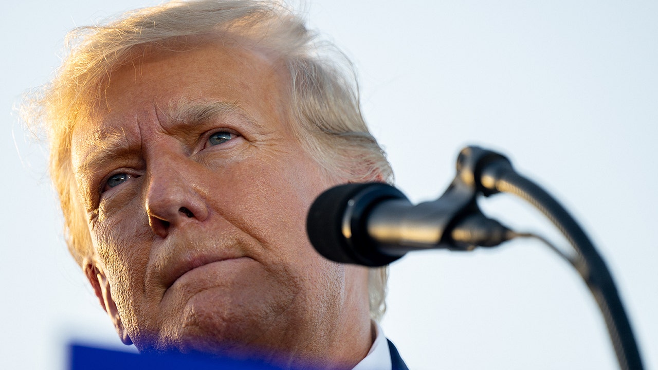 Insights from Trump's Waco Rally and Legal Battle: A Voter Perspective.