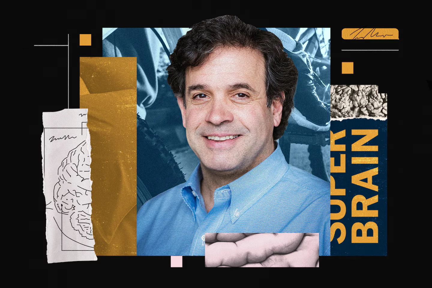 Harvard brain expert's six daily moves to keep your brain young