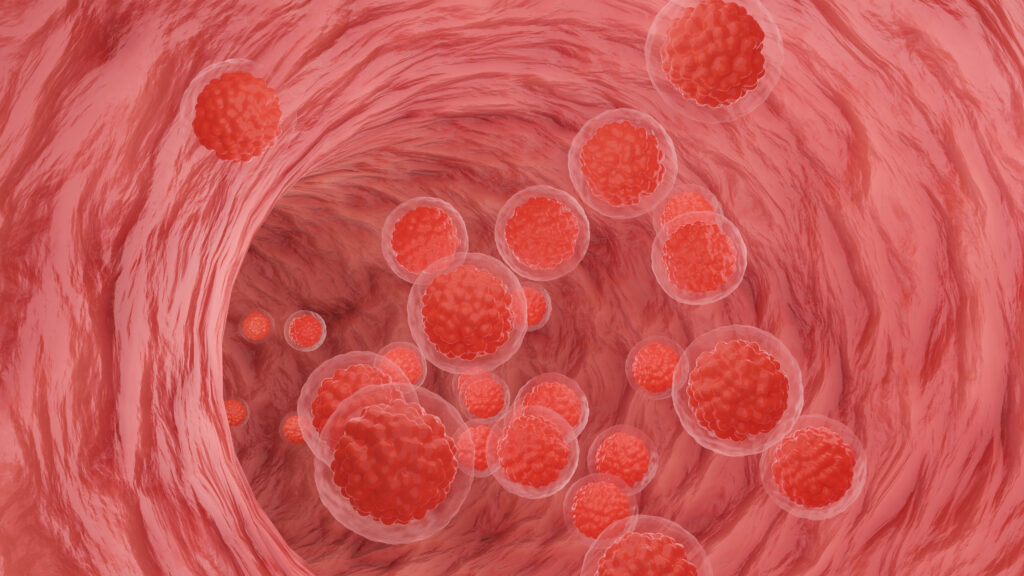 Featured image for "Uncovering the Biological Clues Behind South Asians' Elevated Cardiovascular Risk"