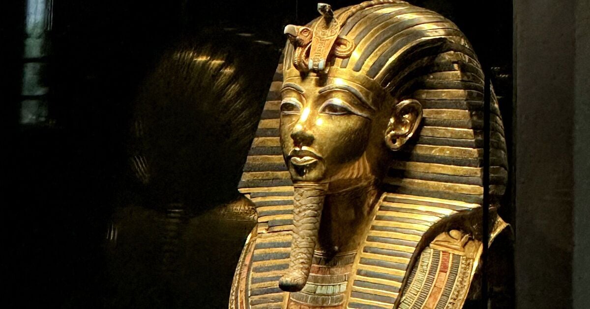 Featured image for King Tut's Tomb Fungus Reveals Potential Cancer-Fighting Properties