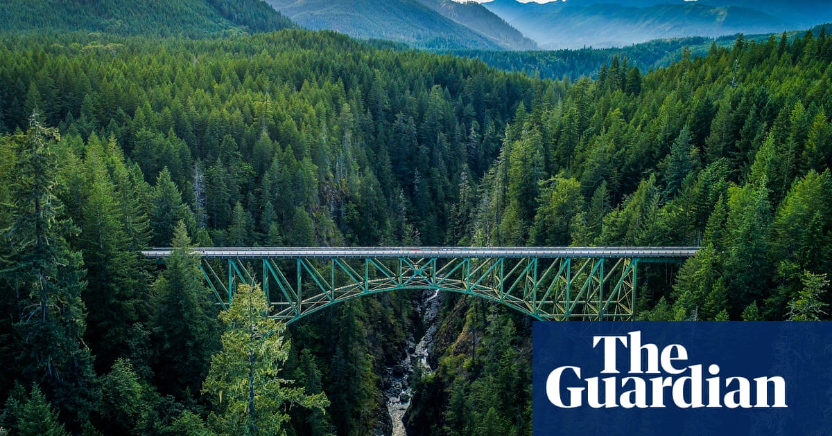 Teen Miraculously Survives 400ft Fall Near Washington's High Steel Bridge