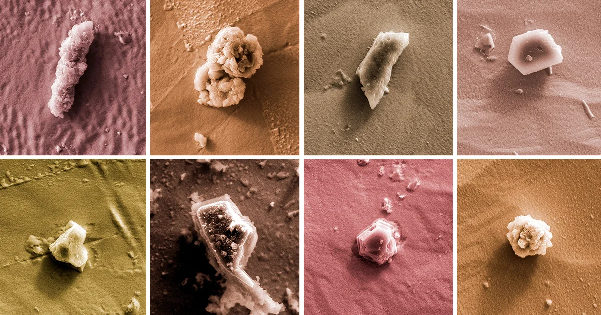Ancient Stardust Points to Wolf-Rayet Winds Shaping Our Solar System