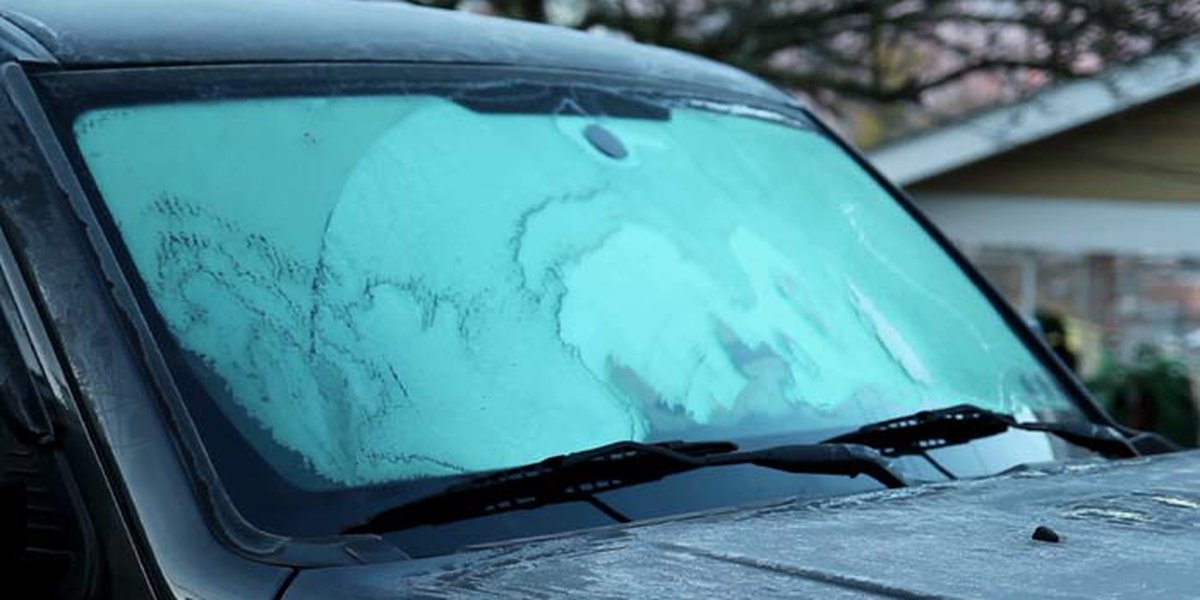 Featured image for Freeze Warnings and Watch Issued for Parts of the South.