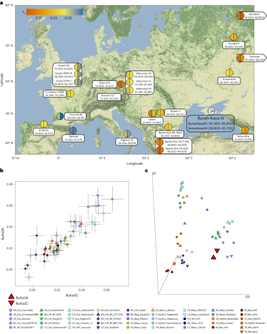 Featured image for Ancient Genome Sequences Reveal Europe's Earliest Settlers