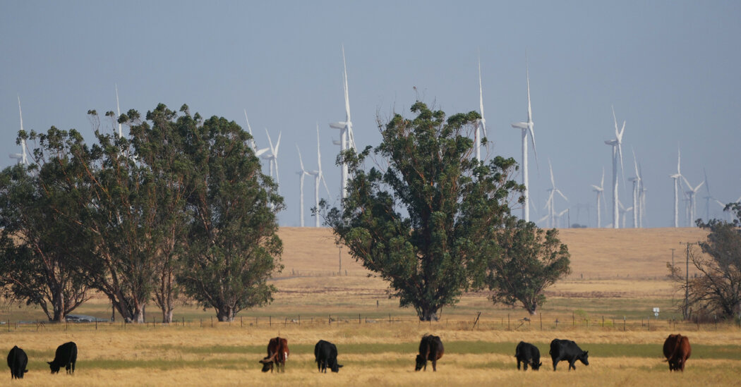 Tech Billionaires Accused of Strong-Arm Tactics in $1B Land Grab for Solano County City