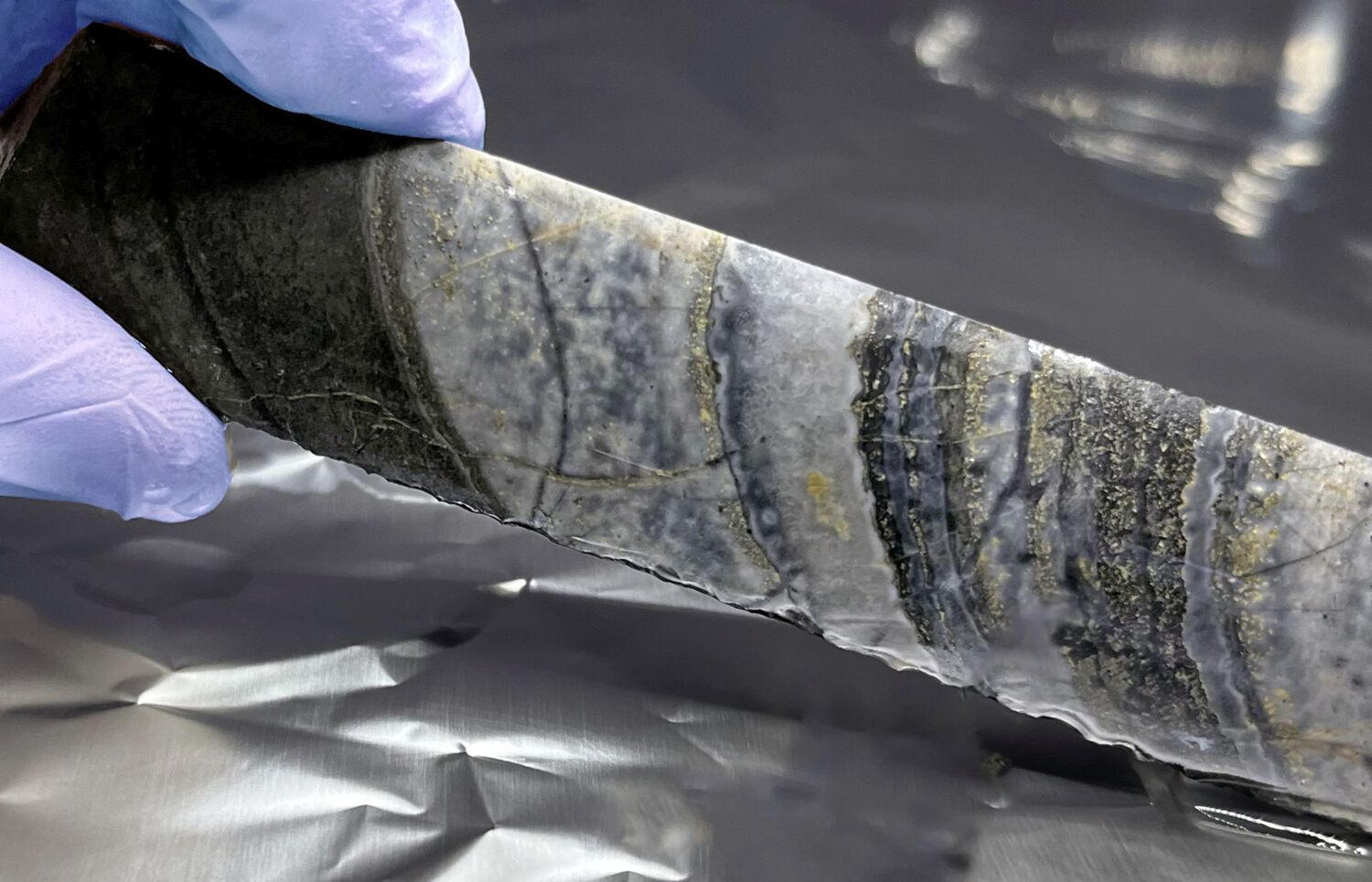 Featured image for "Uncovering Earth's Ancient Microbial Mysteries: From 3.42 Billion-Year-Old Clues to Eukaryotic Revelations"