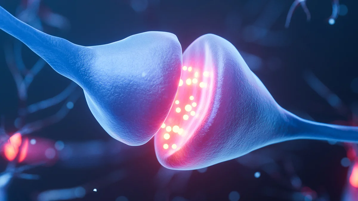 Innovative Imaging Techniques Unveil Brain Cell Activity and Learning Processes