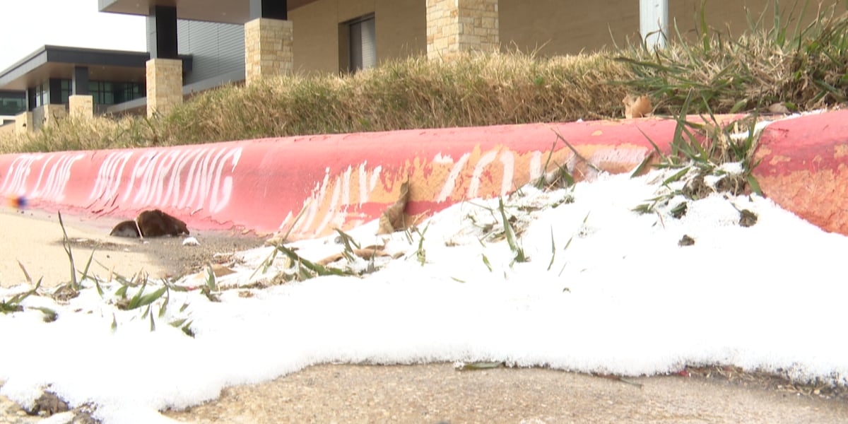 Featured image for "Texas School Districts Respond to Weather-Related Closures Amid Arctic Blast"