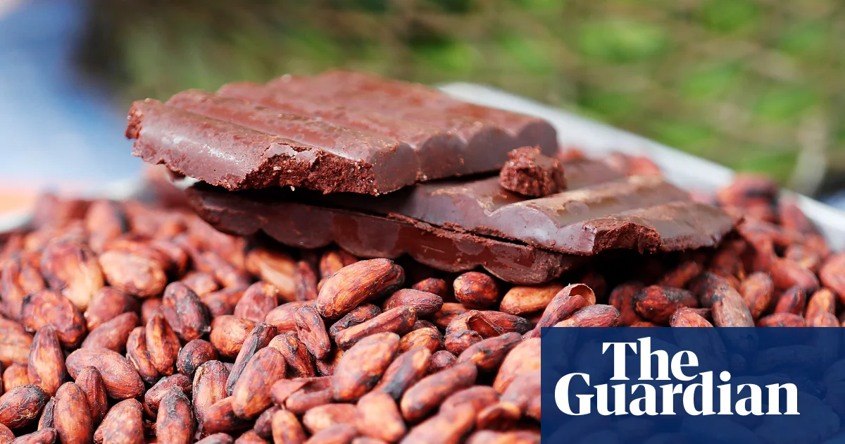 Featured image for Scientists uncover microbial secrets for crafting fine chocolate flavor