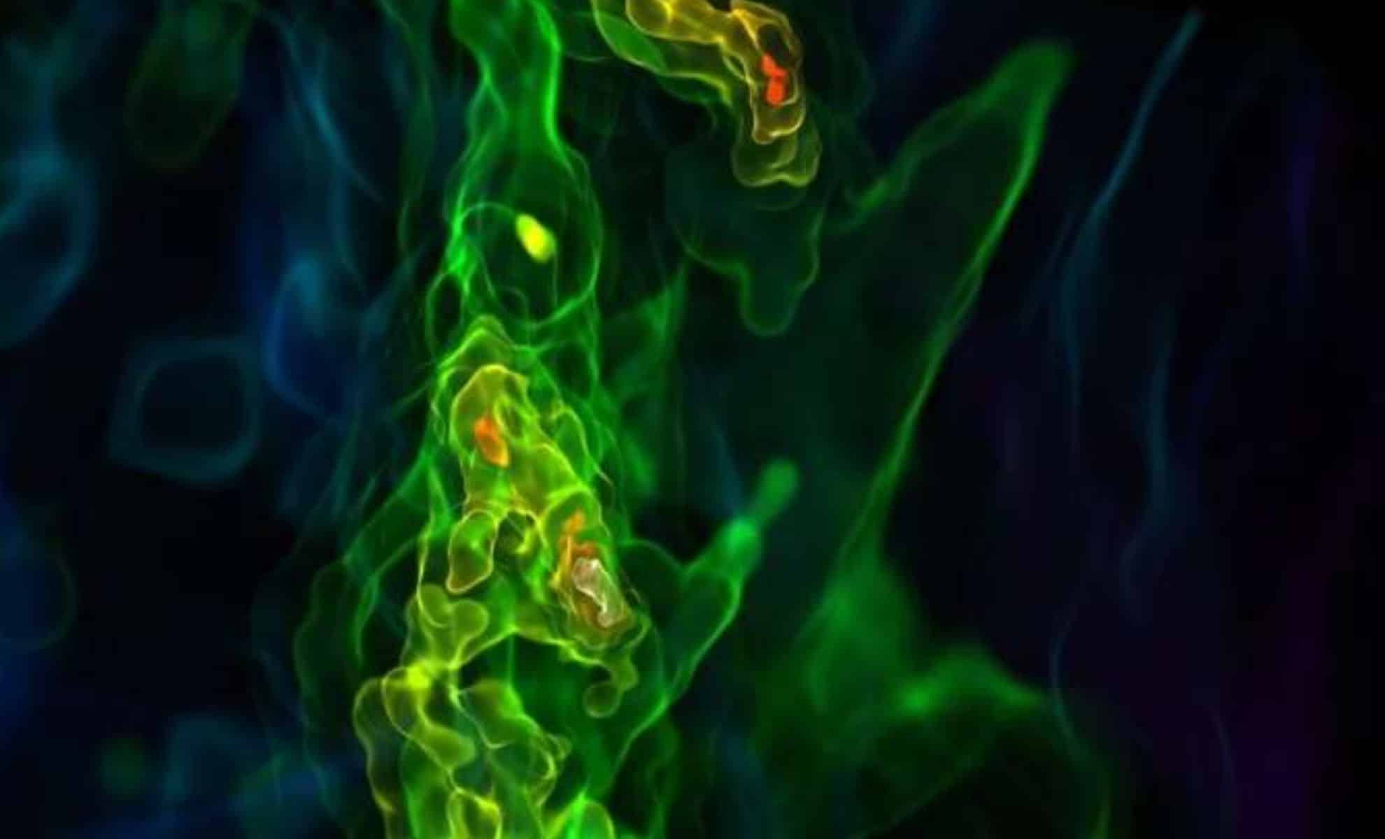 Featured image for First Stars Unveil Cosmic Chaos