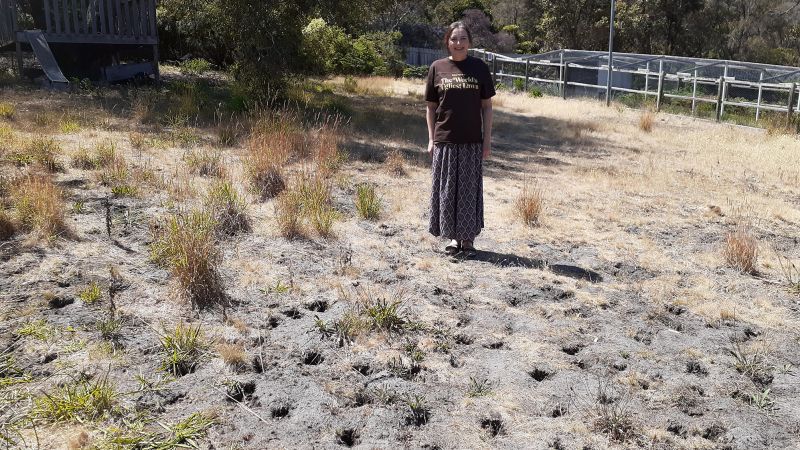 Featured image for "Tasmanian Garden Wins Title for World's Ugliest Lawn, Benefiting a Good Cause"