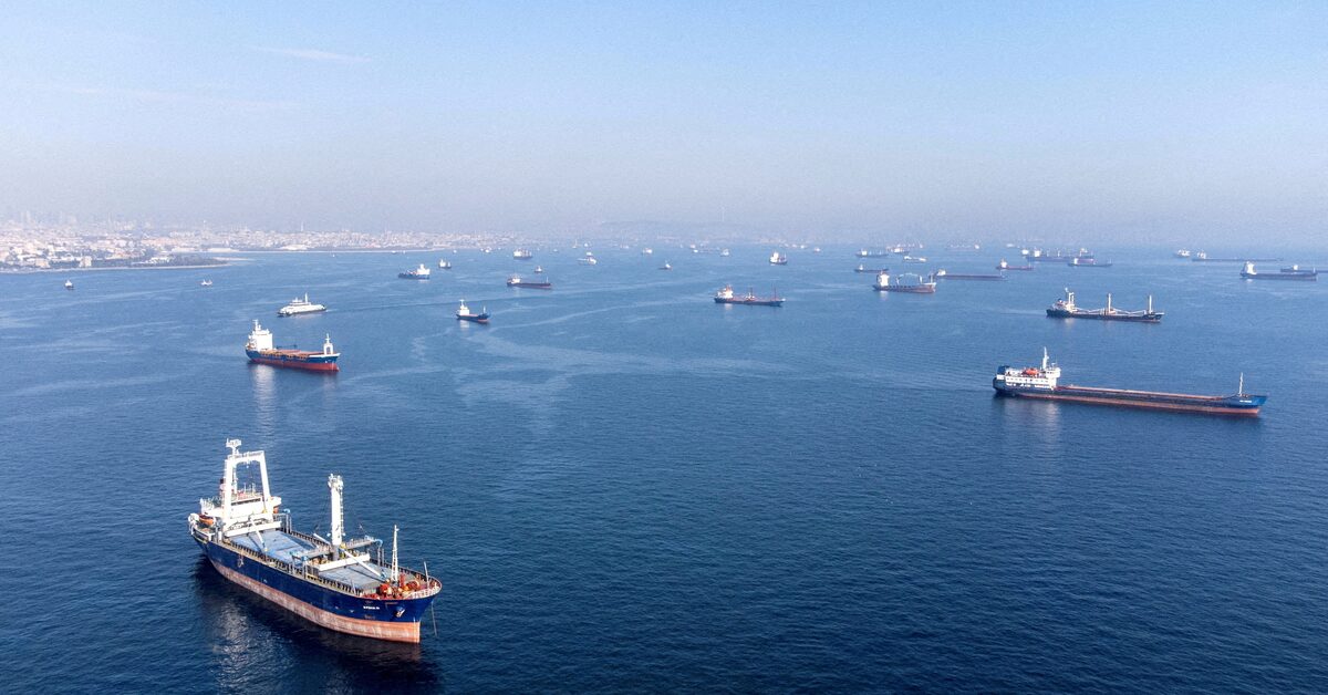 UN and Ukraine devise backup plan for Black Sea grain exports.