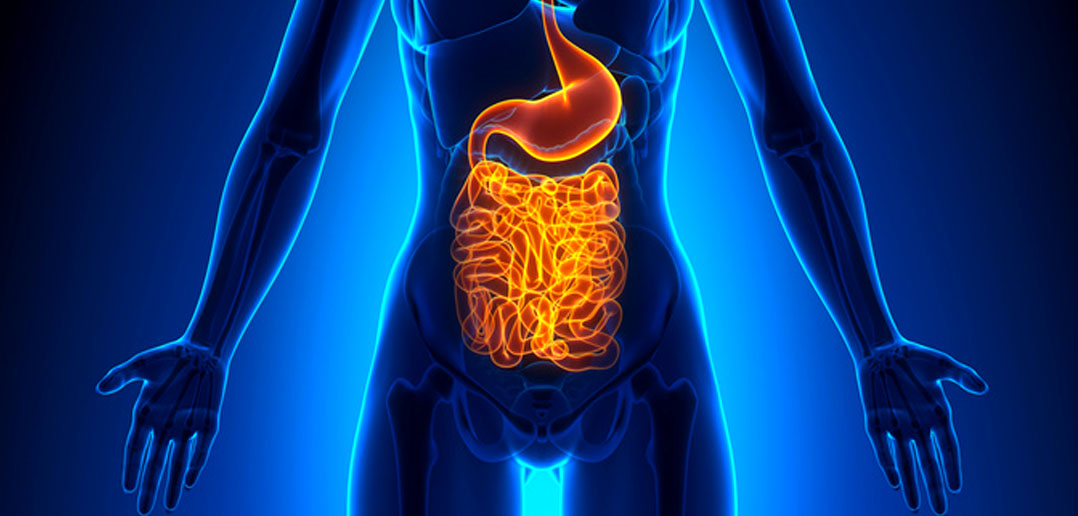 Featured image for "Optimizing Emotional Well-being Through Diet: The Gut-Brain Connection"