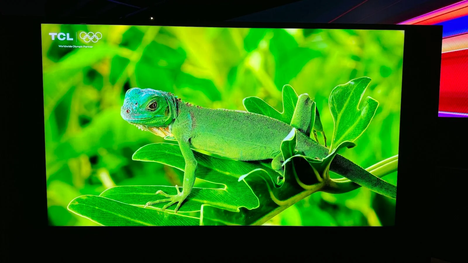Featured image for TCL Unveils Award-Winning Mini-LED TVs at CES 2026