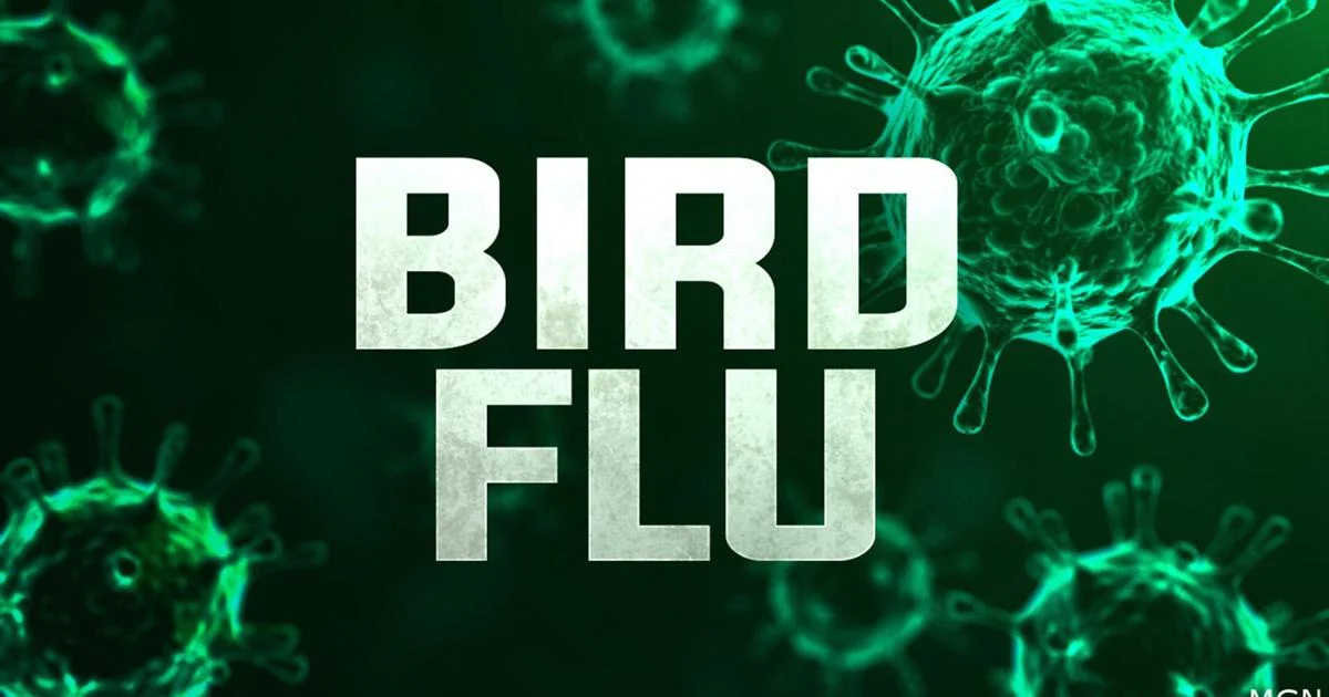 Featured image for Iowa Governor Declares Disaster in Sioux County Amid Bird Flu Outbreak