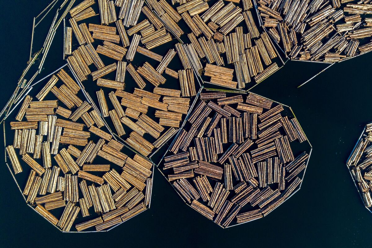 Featured image for Trump Announces Tariffs Impacting Housing, Furniture, and Pharmaceuticals