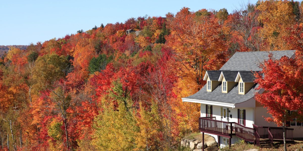 Mortgage Rates Bite Housing Market Amid Seasonal Soft Window