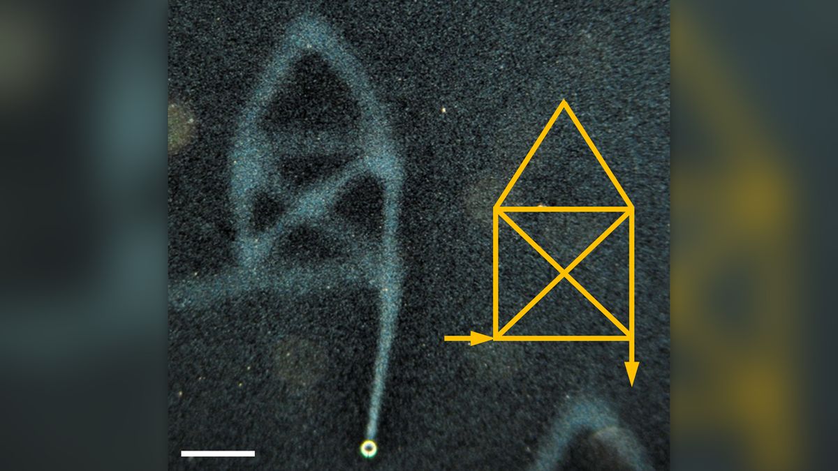 Scientists Achieve Remarkable Feat: Writing Words in Liquid Water