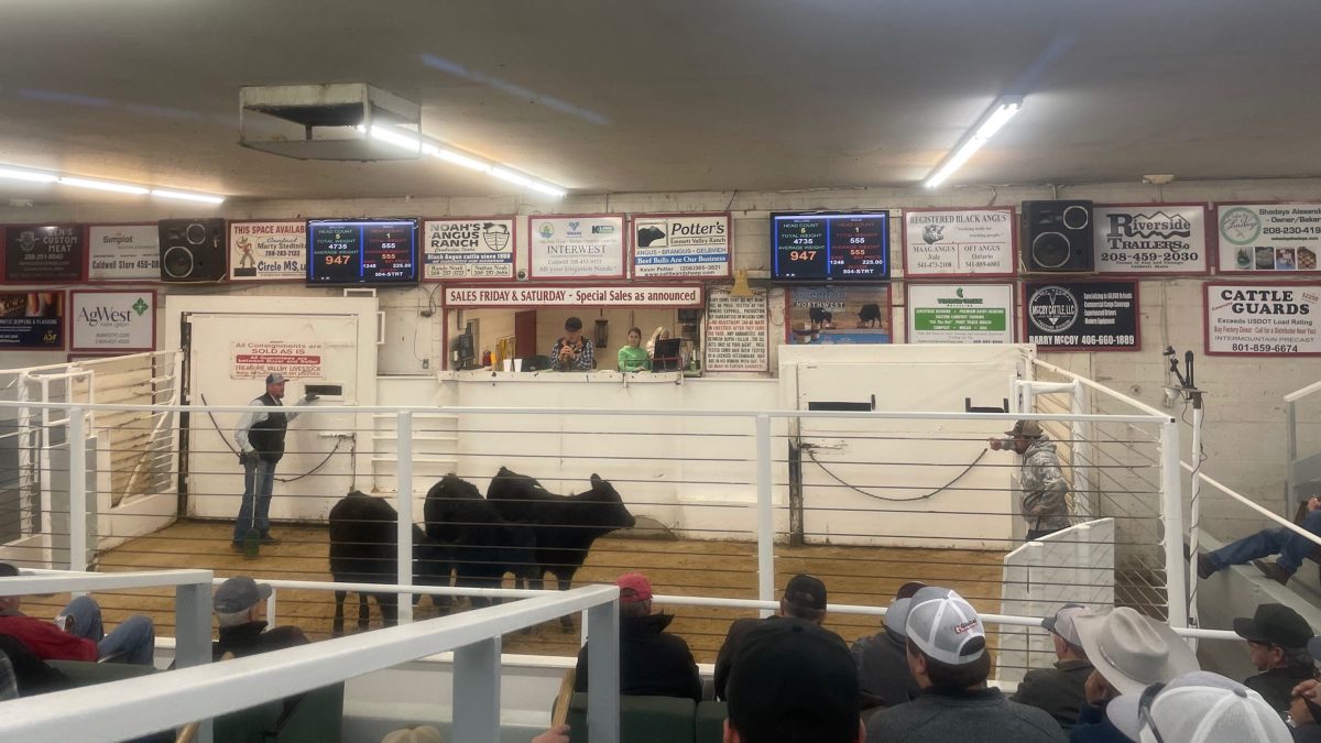 Featured image for Navigating High Food Prices: Americans' Strategies and the Deceleration of Menu Prices