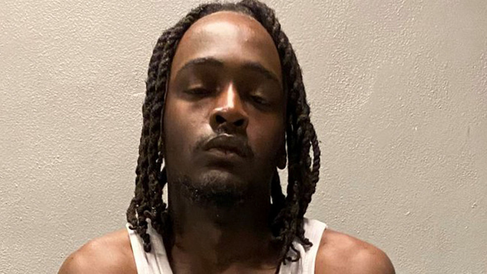 Deadly Carjacking Spree Claims Lives of Man and Two Dogs in DC and Maryland