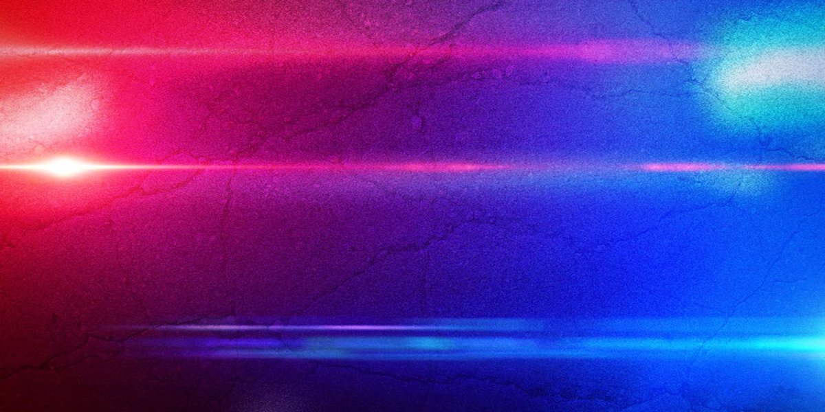 Fatal Accident in Searsport: Tree Collapse Claims Man's Life and Causes Power Line Damage