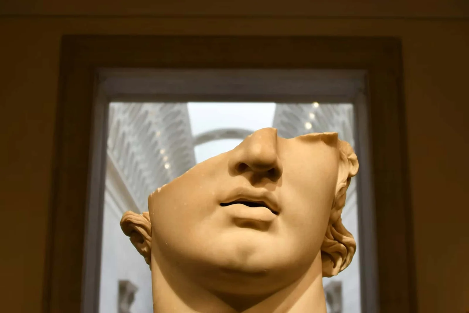 Chin Mystery: Humans Likely Born with a Byproduct, Not a Purposeful Feature