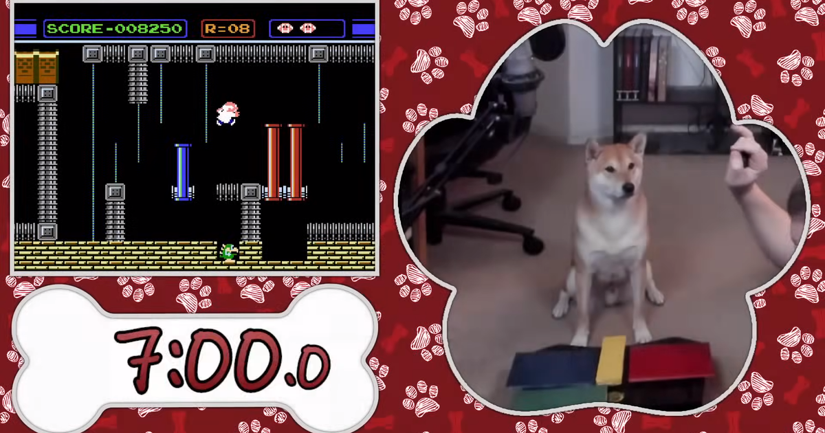 Featured image for "AGDQ 2024: Speedrunning Dog Peanut Butter Takes Gaming by Storm"