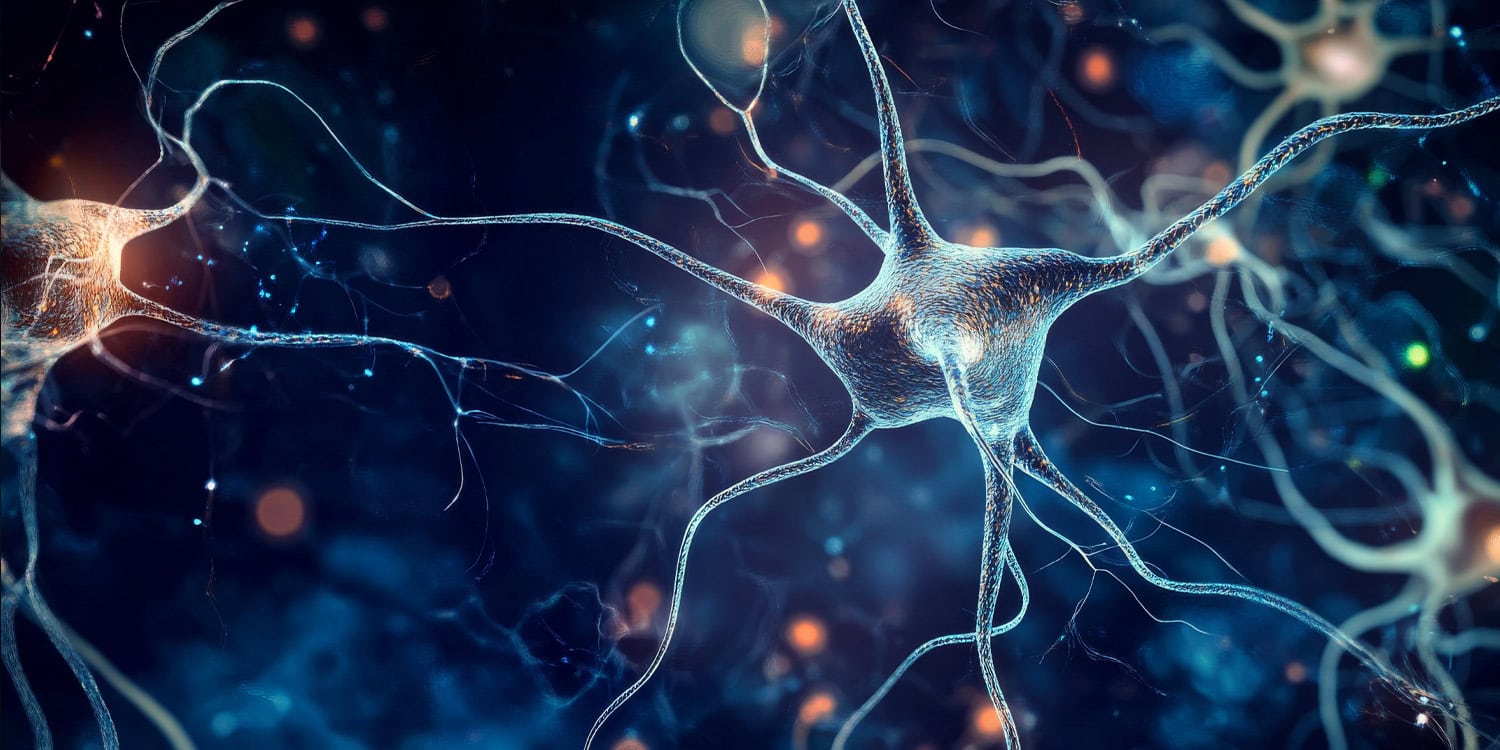 Neuroscientists uncover brain mechanism for filtering irrelevant info