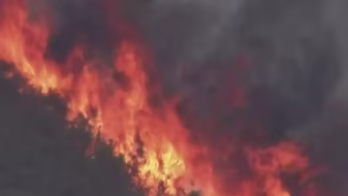 Featured image for Michigan Wildfire Warning: Unprecedented Conditions and Dangerous Campfires