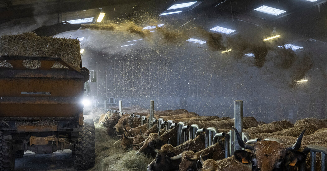 Featured image for "Rural Uprising: How Angry Farmers Are Reshaping Europe"