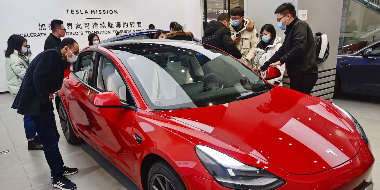 Tesla's Earnings and Price Cuts: What Investors Need to Know.