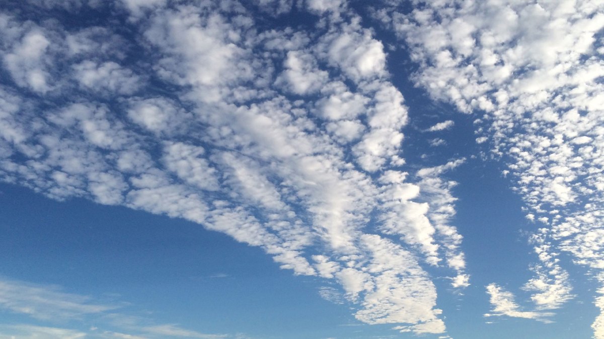 Featured image for "Bluesky Surges with 800K New Users Despite Outages and Opens to Public"