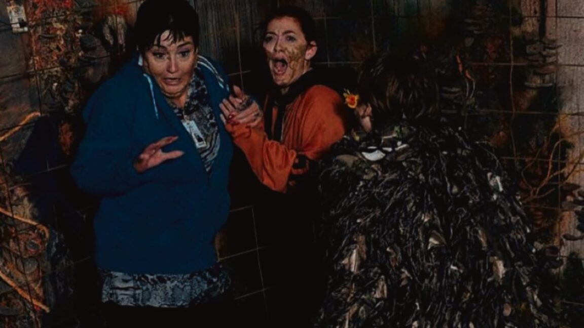 Featured image for Exploring the Health Benefits of Haunted House Visits