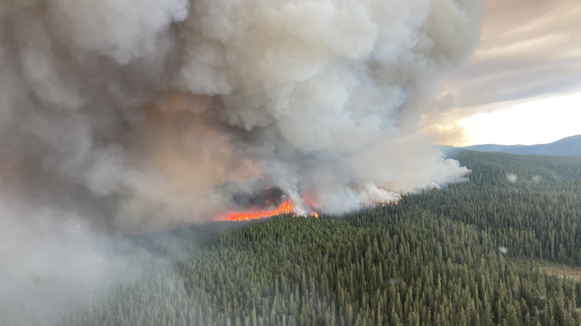 "Canada's Wildfires Break Pollution Records, Alarming Scientists"