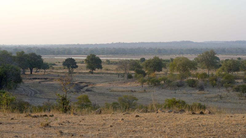 Featured image for Elephant Kills Two Female Tourists in Zambian National Park