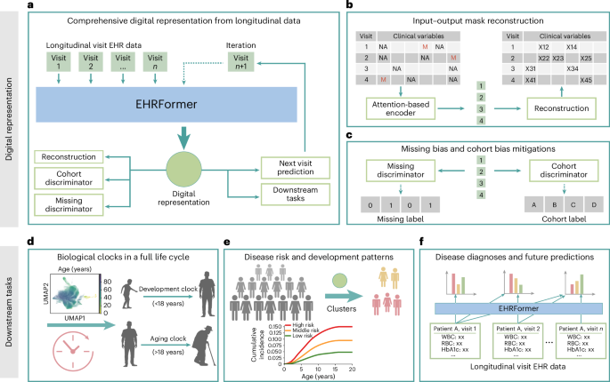 Featured image for AI-Driven Biological Clock Predicts Health Outcomes and Diseases