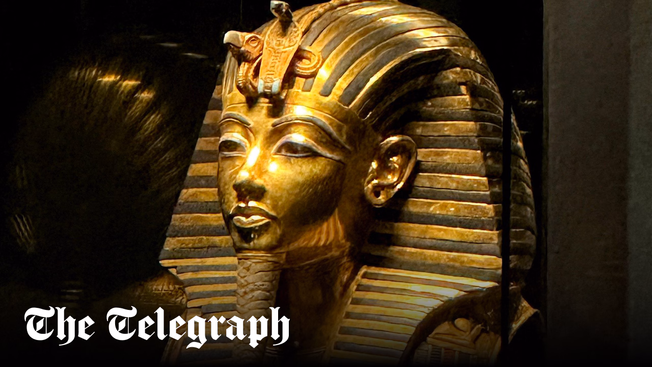 Featured image for Ancient Tomb Fungus Reveals Potential Cancer-Fighting Compounds