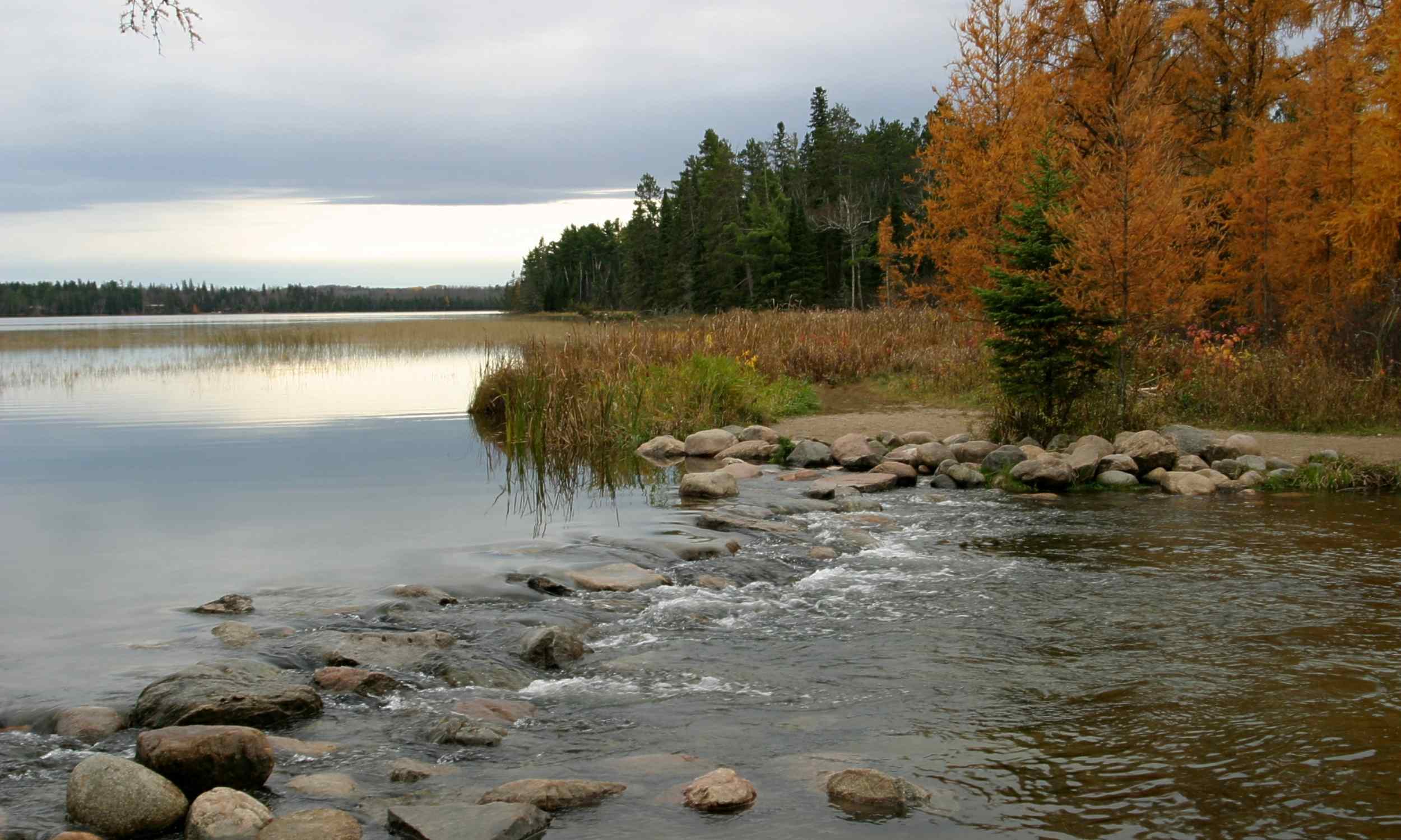 Featured image for Giant Predator Vertebra Reveals Ancient Oceanic Earth