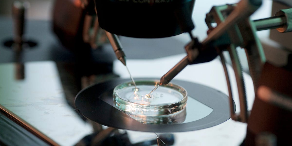 "Alabama Supreme Court Defines Frozen Embryos as Children in Landmark Ruling"