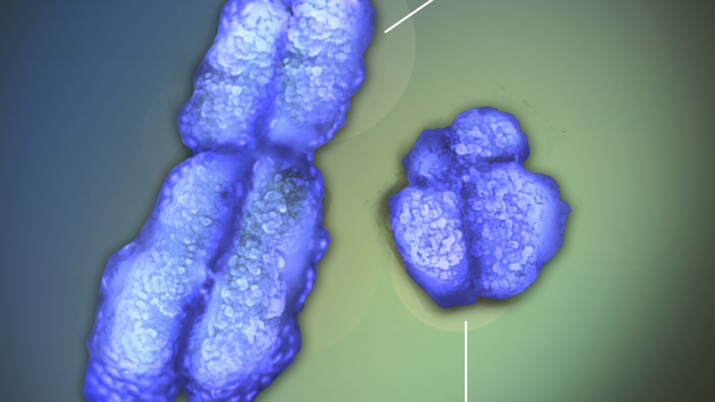 Featured image for "Uncovering the X Factor: The Link Between Women and Autoimmune Diseases"