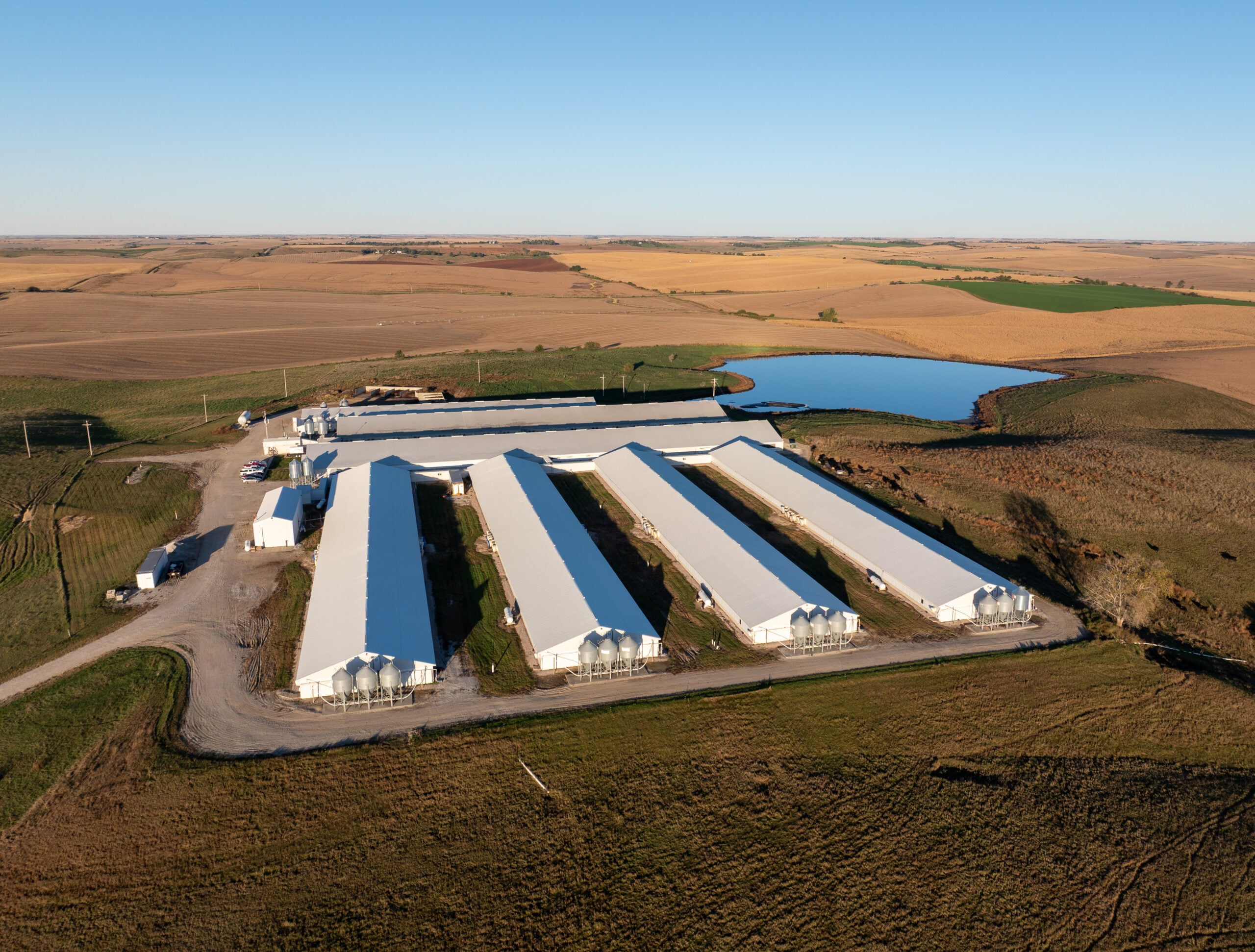 Teen's Mysterious Death at Pillen Family Farms