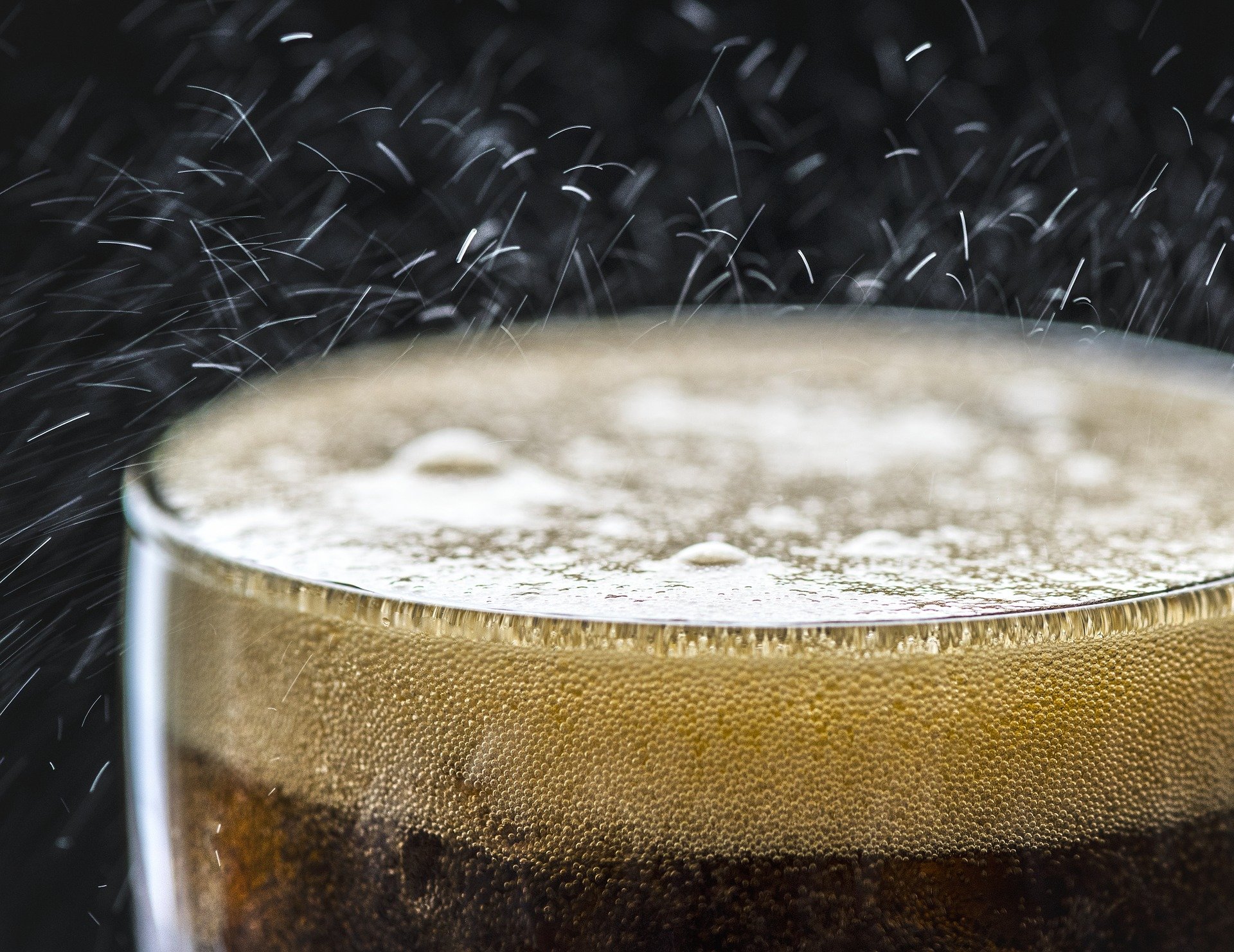 Featured image for Research Finds No Safe Level of Processed Food and Meat Consumption