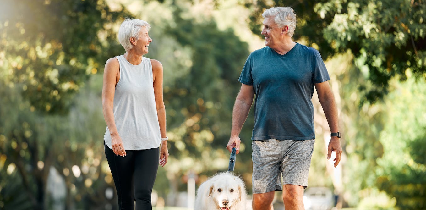 The Power of 22 Minutes: How Daily Activity Reduces Health Risks from Sitting