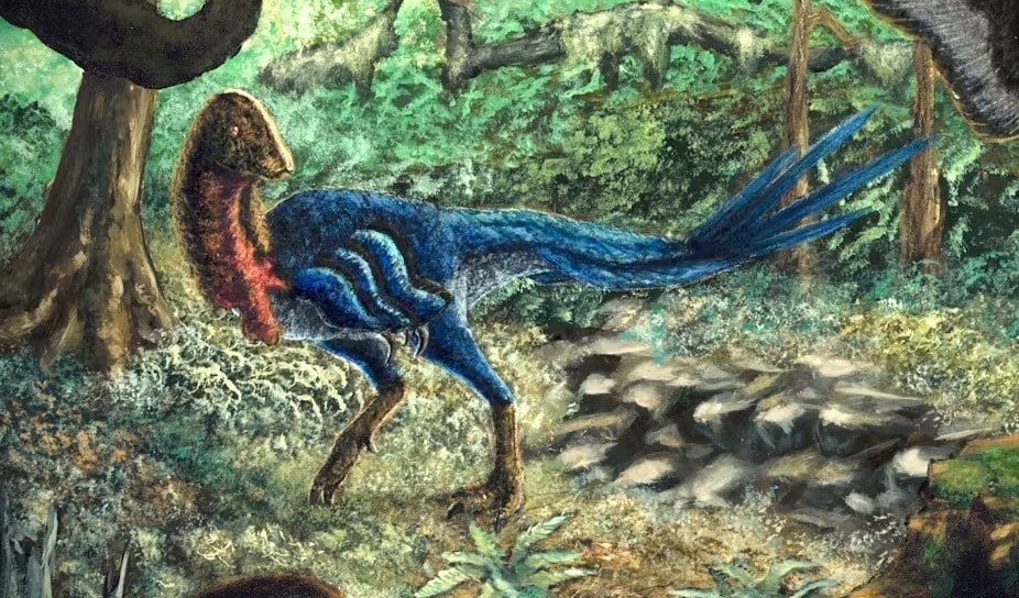 Featured image for "PhD Student Discovers New Dinosaur Species, Challenges Extinction Narrative"