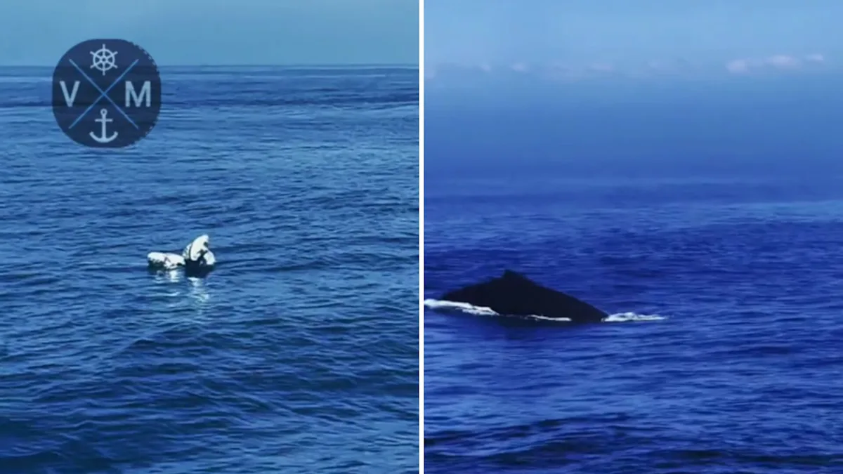 Featured image for Boater's Video Highlights Rising Ocean Threats and Calls for Bans