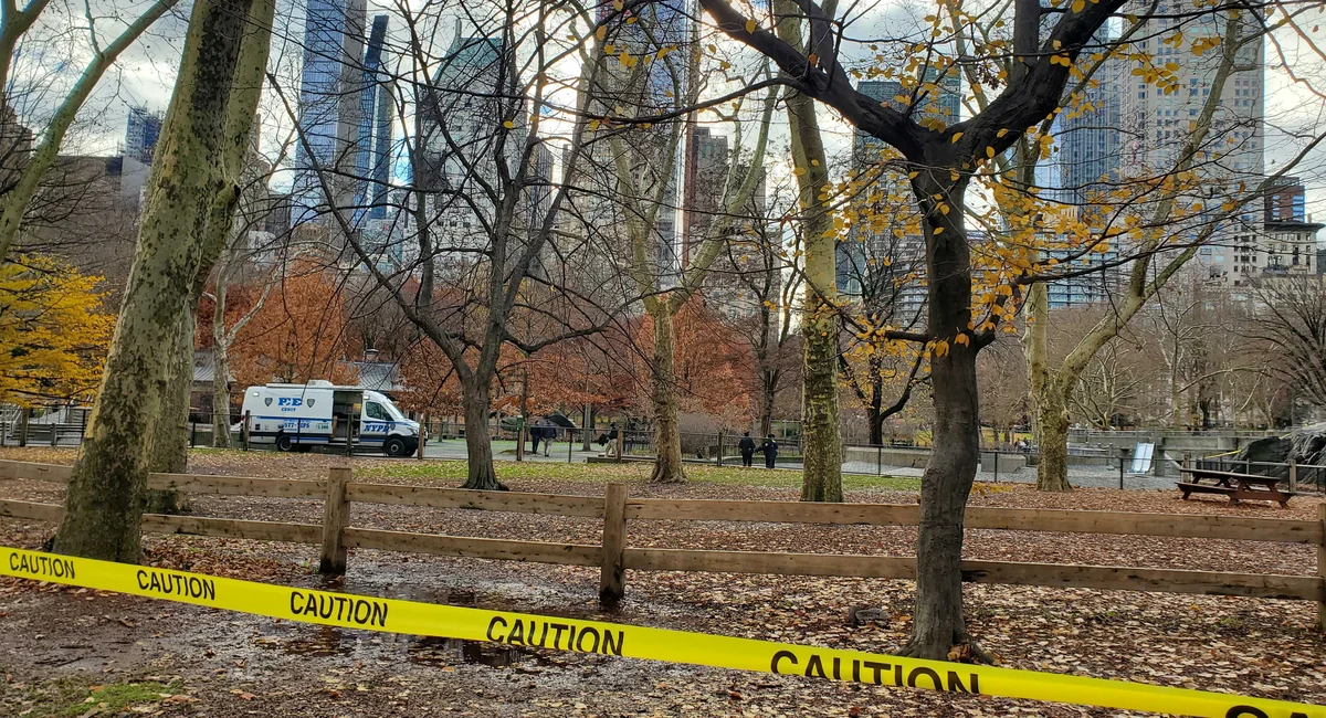 Multiple Laceration Victim Found Dead in Central Park Playground